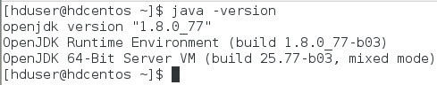 JavaVersionOutput01.jpg